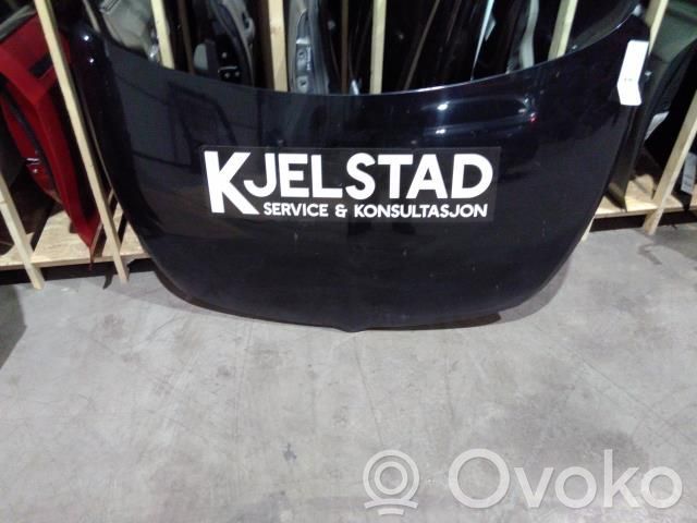 Mitsubishi Grandis Konepelti 