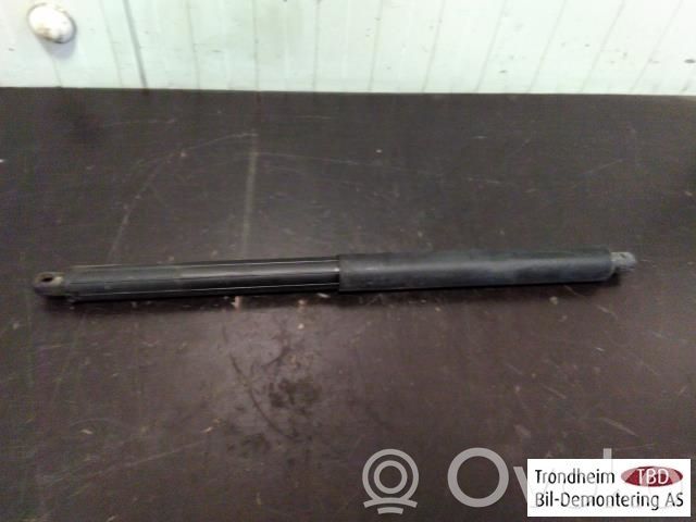 BMW X5 E70 Ammortizzatore portellone posteriore/bagagliaio 