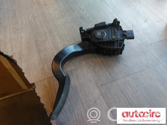 Accelerator throttle pedal   1011298,M1813221136,1011298,M1813221136