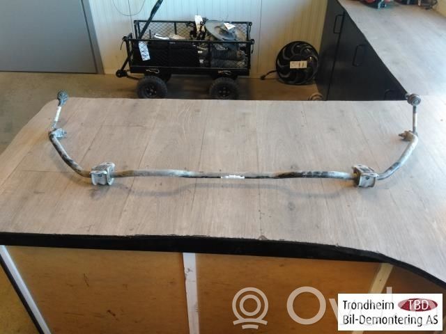 Tesla Model 3 Bară/bieletă antiruliu spate 