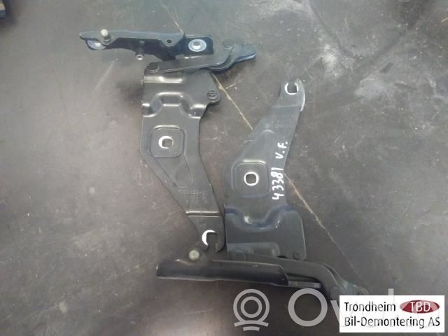 BMW X6 E71 Charnière, capot moteur