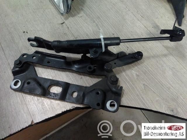 BMW 7 F01 F02 F03 F04 Cerniere del vano motore/cofano 