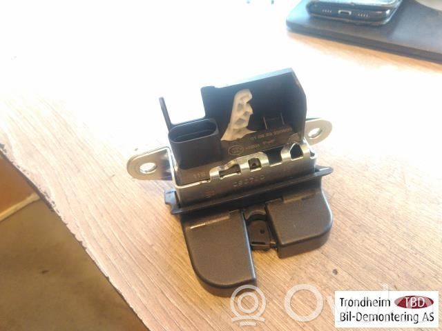 Volkswagen ID.3 Spyna galinio borto 
