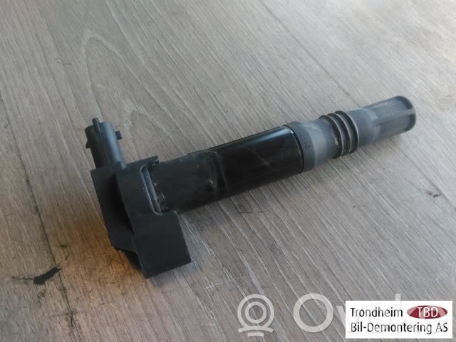 Citroen C4 Cactus Bobina di accensione ad alta tensione