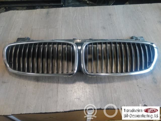 BMW 7 E65 E66 Kühlergrill 