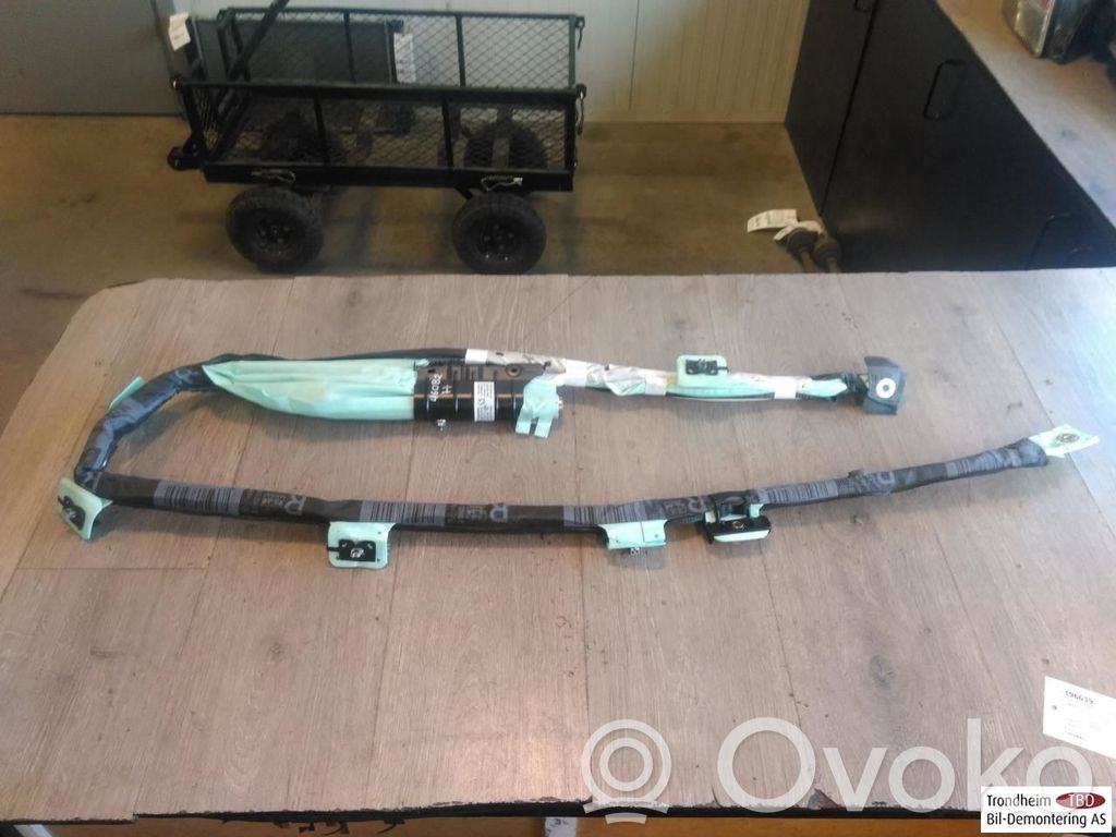 BMW i3 Airbag del techo 