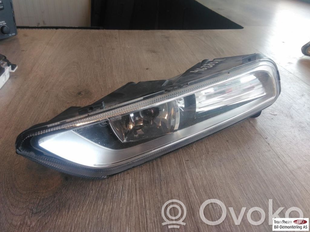 Volkswagen PASSAT B7 Fendinebbia anteriore