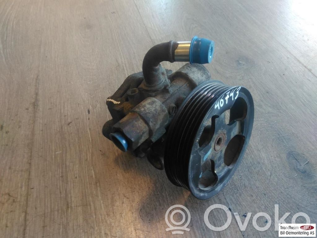 Dodge Journey Servopumpe 