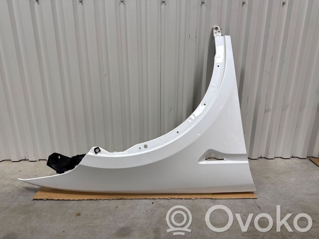 Tesla Model X Spārns 