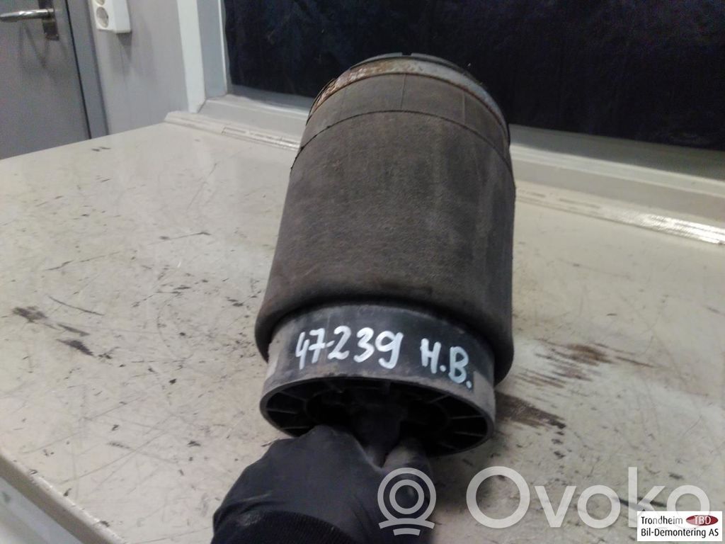 Land Rover Range Rover Sport L494 Sacca a pressione sospensione/ammortizzatore posteriore 