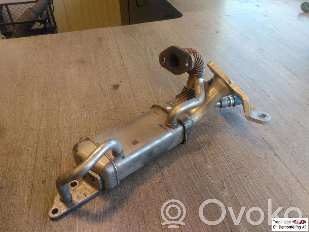 Dacia Duster Valvola di raffreddamento EGR