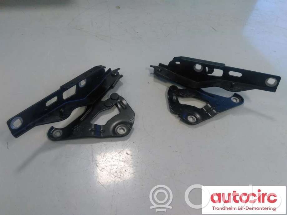 Audi E-tron GT Engine bonnet/hood hinges 