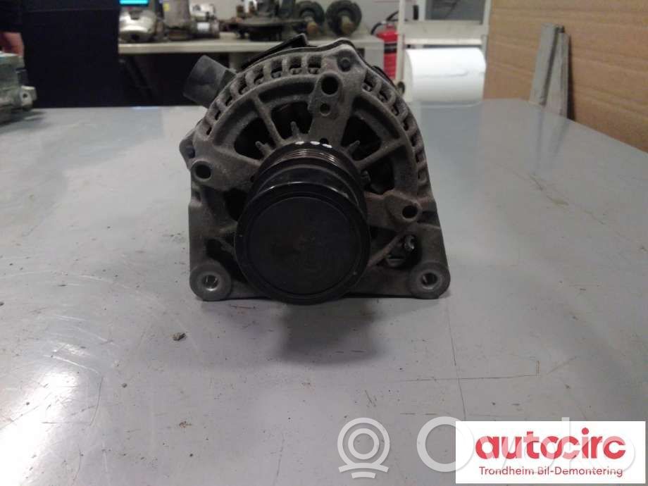 Generatorius   CV6T10300GA,1781479,1781479,2415006,CV6T10300GA,RMCV6T10300GA
