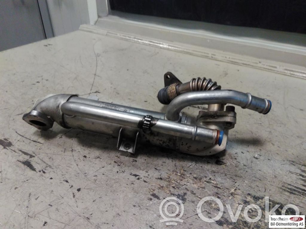 Audi A4 S4 B7 8E 8H Valvola di raffreddamento EGR