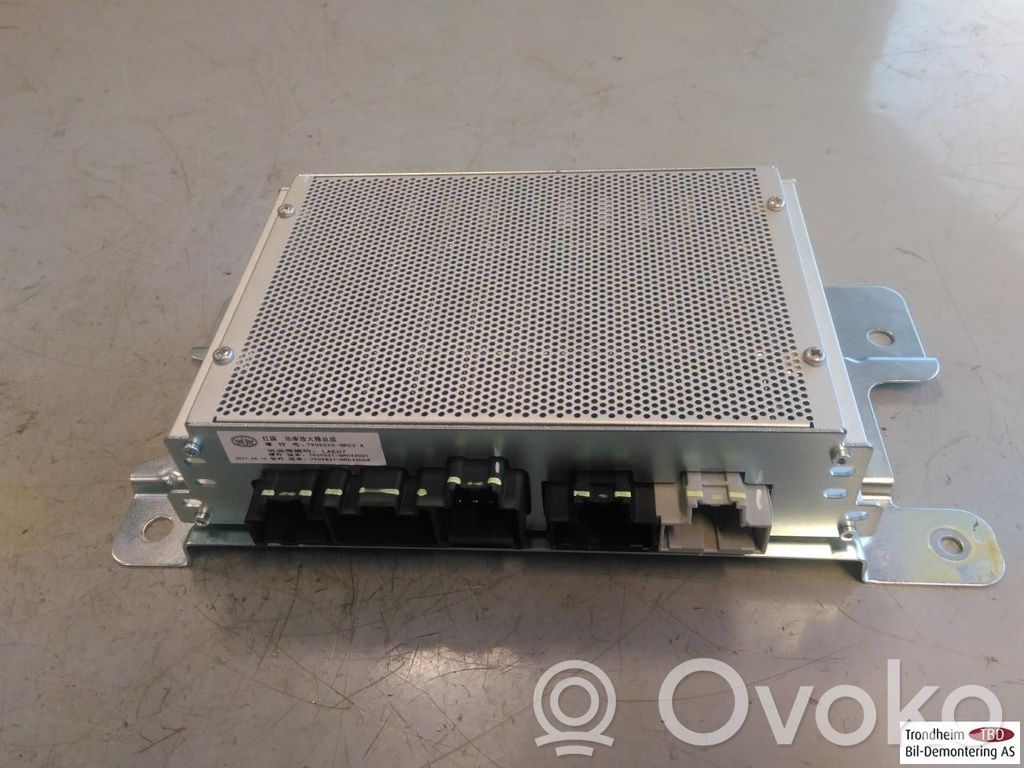 Hongqi E-HS9 Amplificatore 