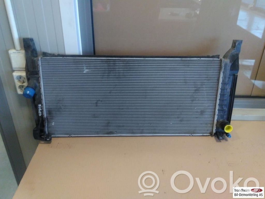 BMW 2 F45 Radiatore di raffreddamento 