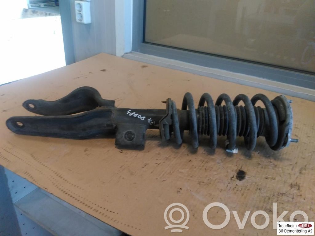Tesla Model 3 Stoßdämpfer Federbein 