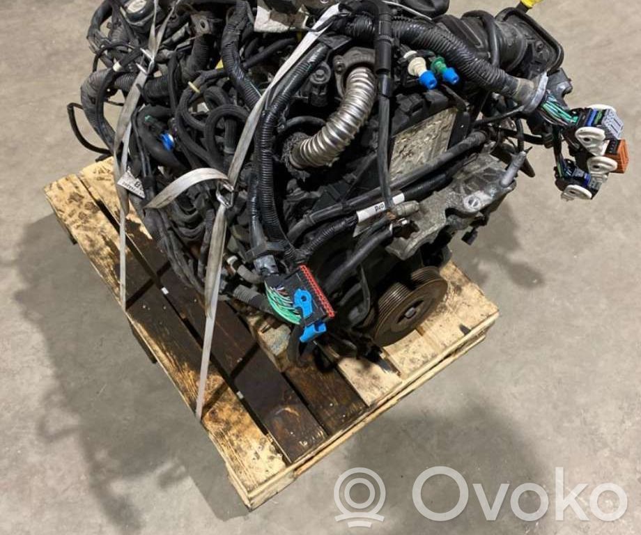 Ford Focus Engine 