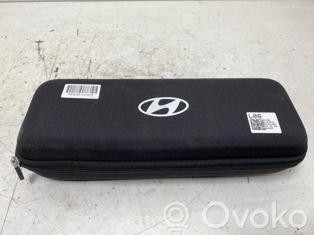 Hyundai Ioniq 5 Cablu încărcare mașină electrică 