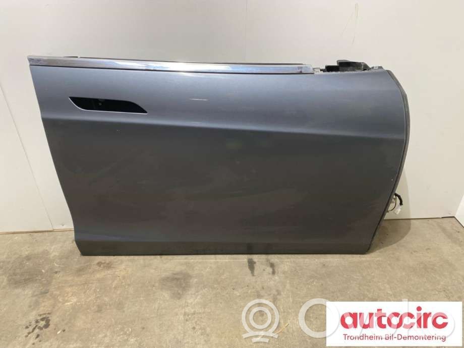 Tesla Model S Durvis 