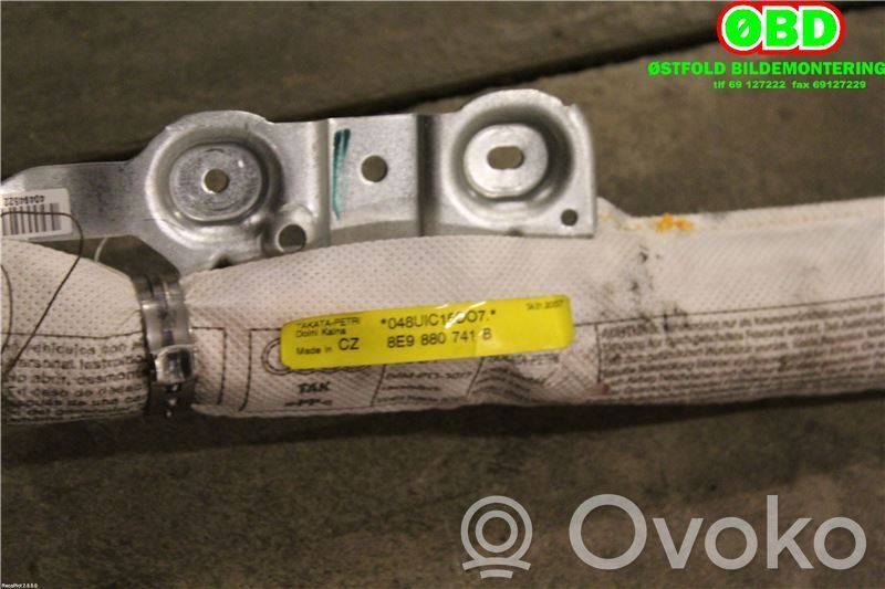 Audi A4 S4 B7 8E 8H Airbag cortină 