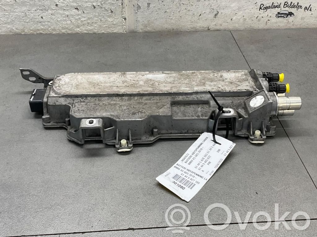 BMW X5 G05 Ładowarka do akumulatora 