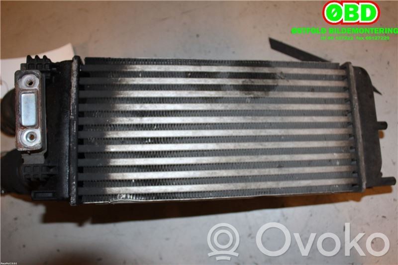 Peugeot 3008 I Radiatore intercooler 