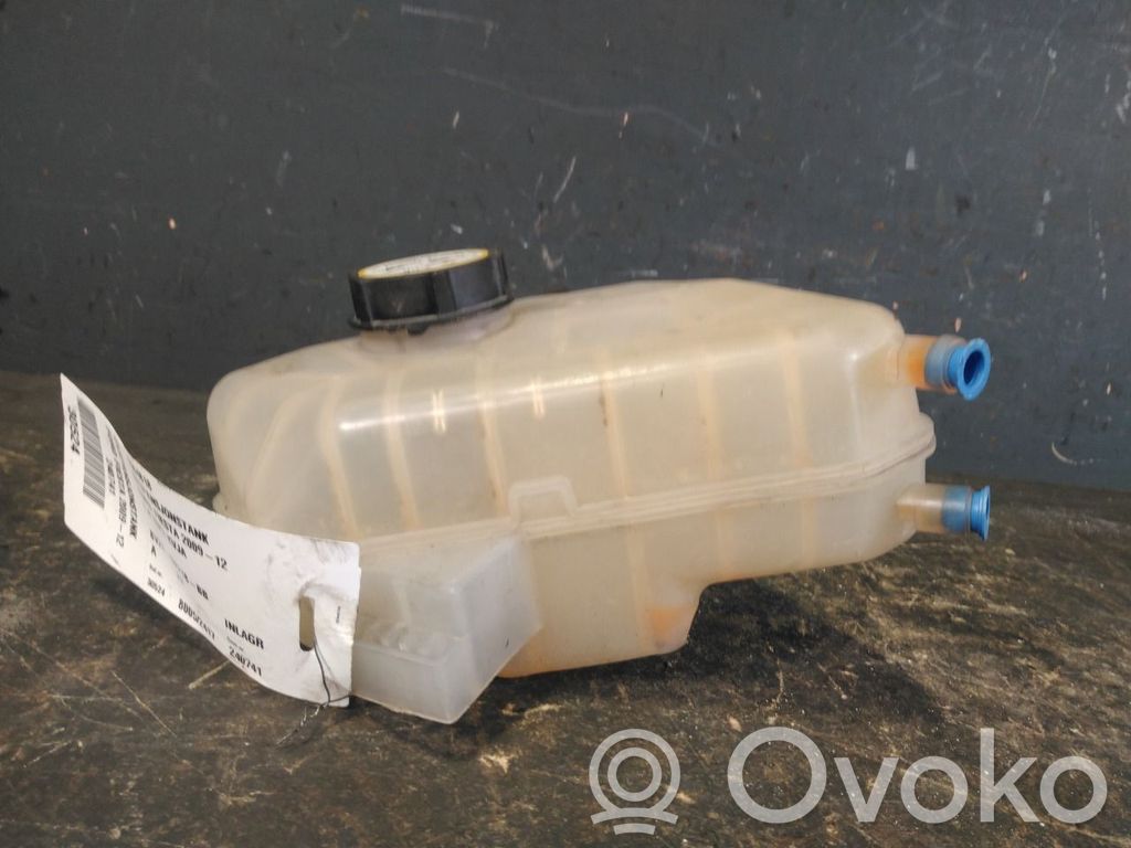 Ford Fiesta Kraftstoff-Ausgleichsbehälter 
