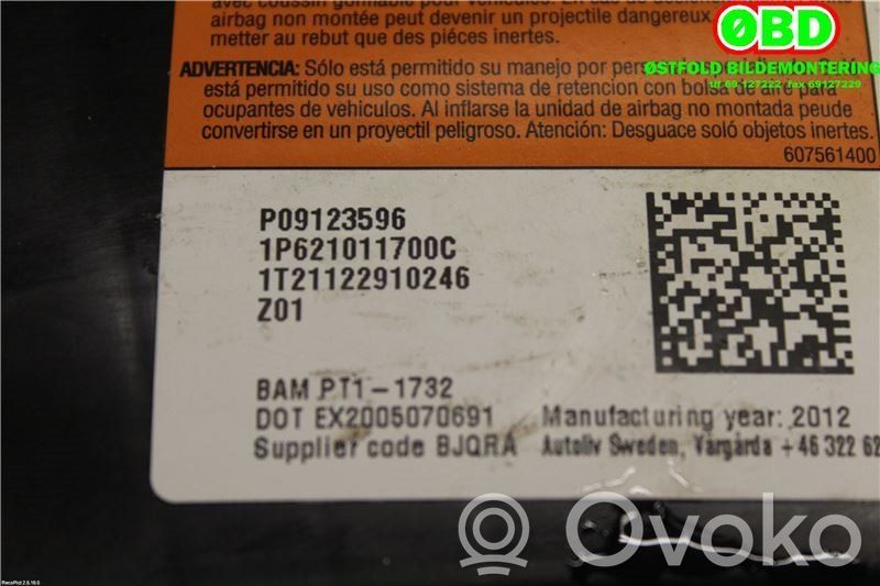 Airbag lateral   09123596,09123596,09123596,09123596