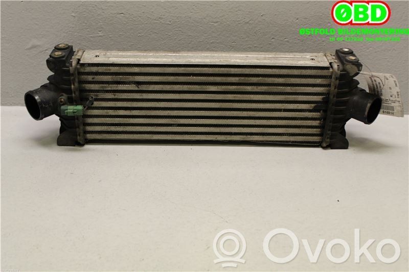 Interkūlerio radiatorius   1881209,CC119L440BC,CC119L440BC,1881209,CC119L440BC