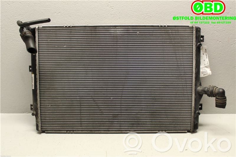 Volkswagen PASSAT B7 Radiatore di raffreddamento