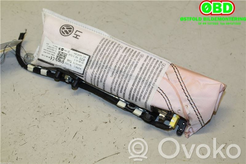 Skoda Octavia Mk3 (5E) Airbag laterale