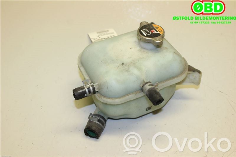 Hyundai i20 (GB IB) Vas expansiune combustibil 