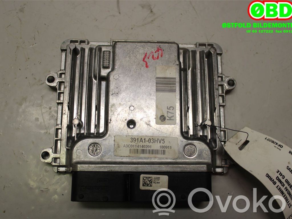 Hyundai Ioniq Other control units/modules 