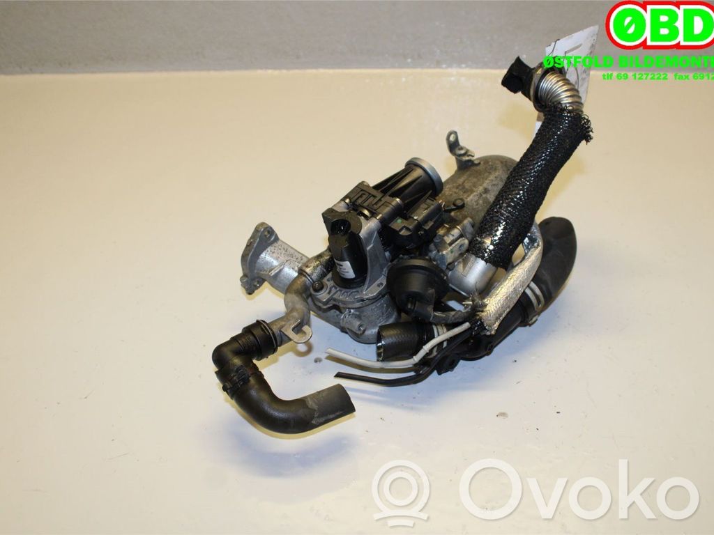 Válvula EGR   1702178,1702178