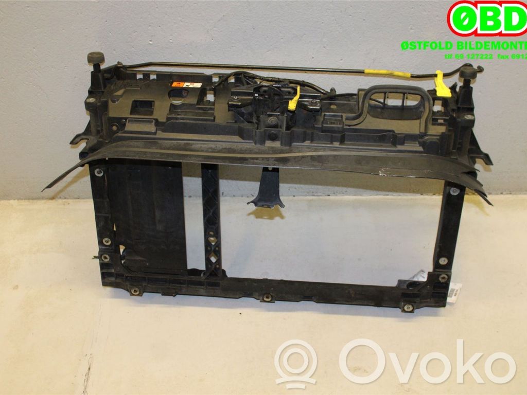 Ford B-MAX Radiatoru panelis 