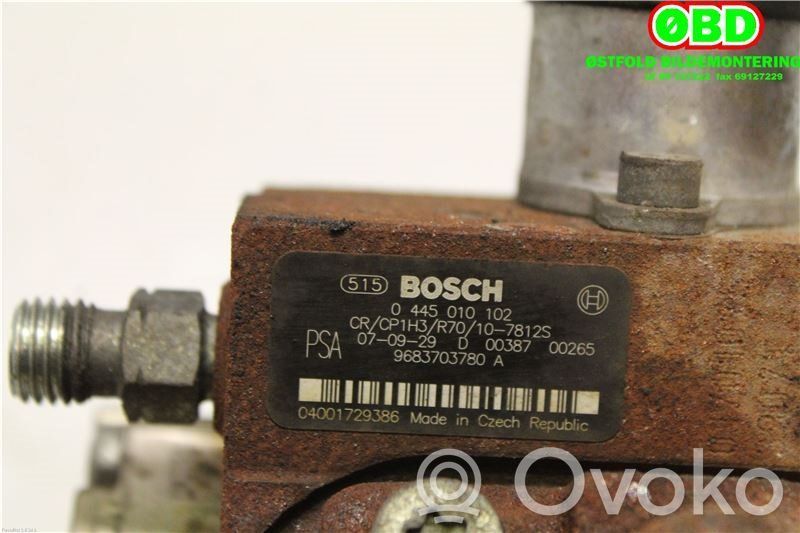 Ford Focus Polttoainesäiliön pumppu 