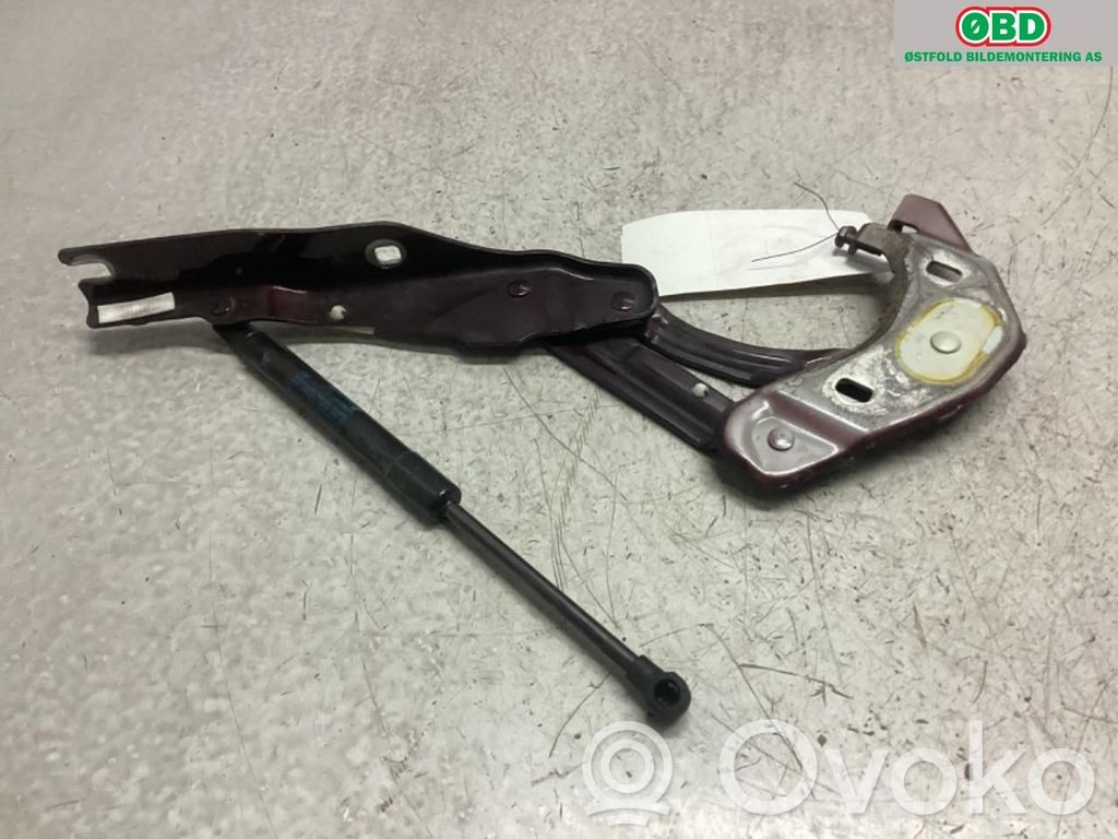 Audi A1 Cerniere del vano motore/cofano