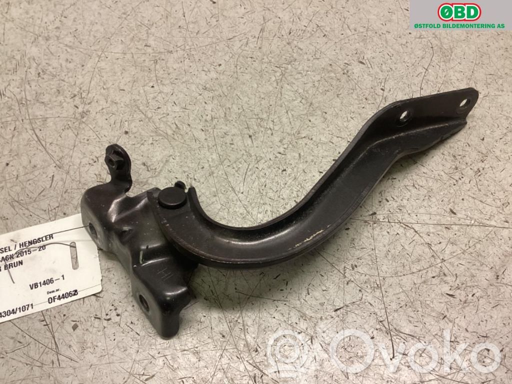 Subaru Outback (BS) Balamale capotă 
