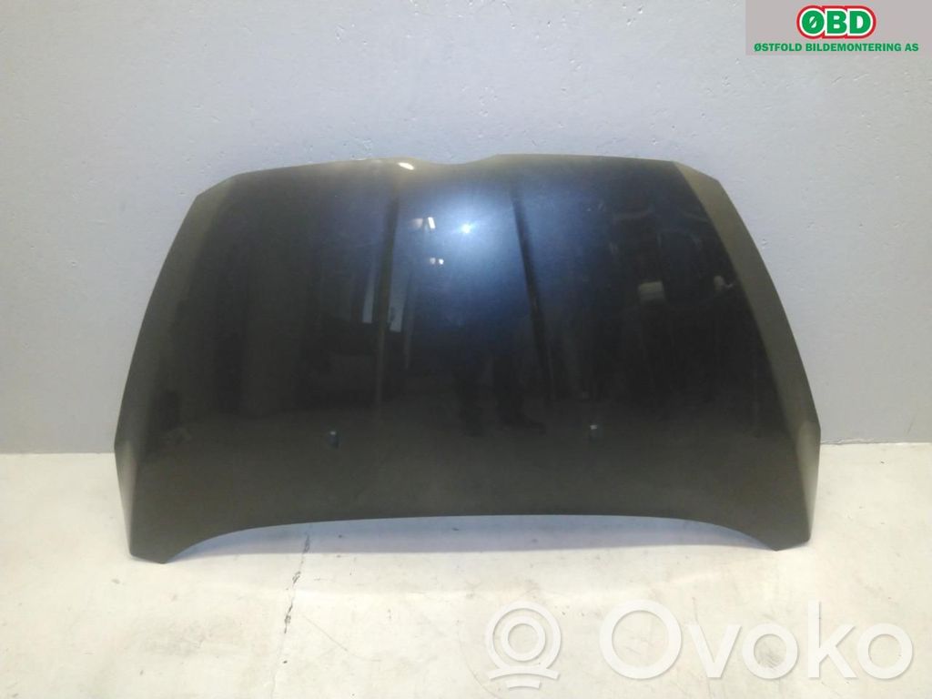 Motorhaube   2100964,2100964