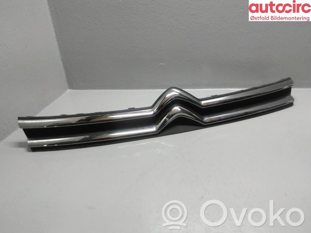 Citroen Jumpy Front grill 