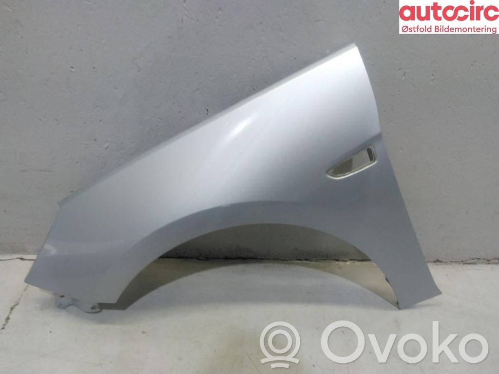 Guardabarro   39011390,39011390