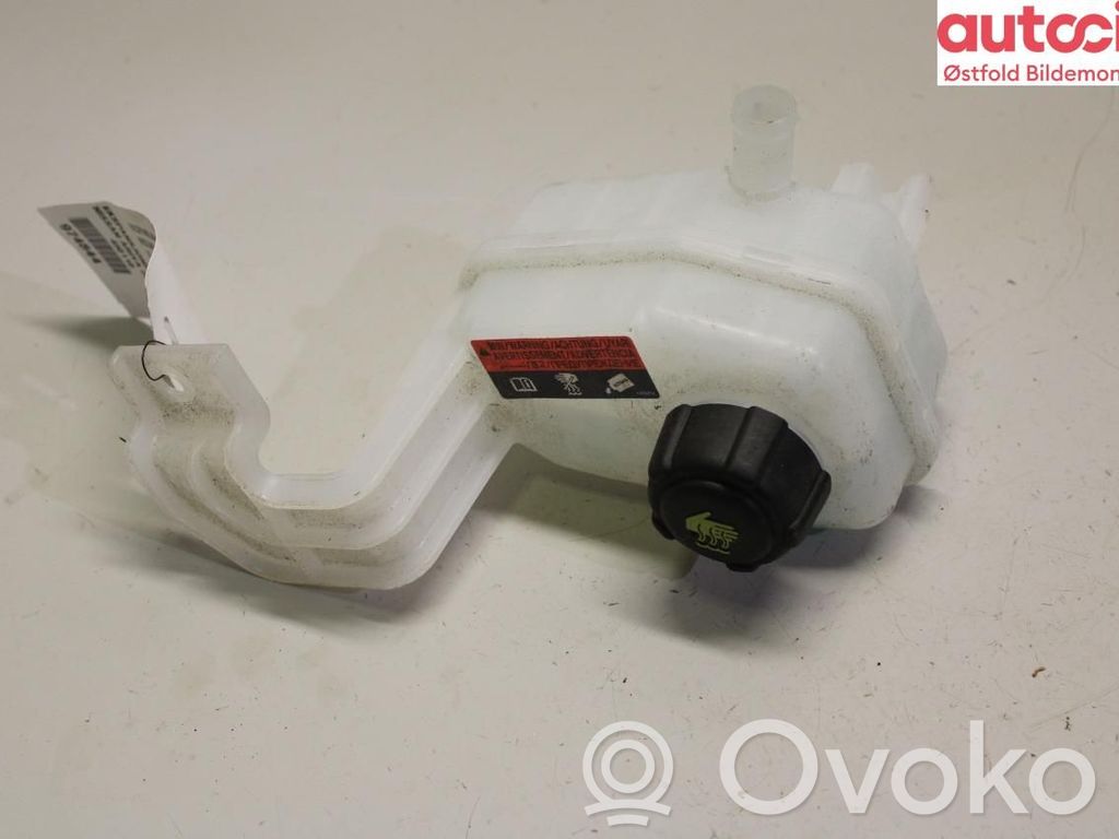 Nissan Ariya Vaso di espansione carburante 