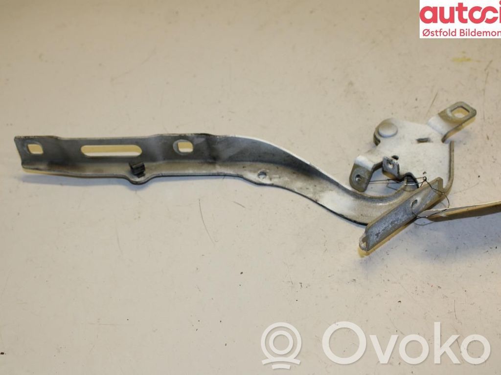 Citroen Jumpy Engine bonnet/hood hinges 