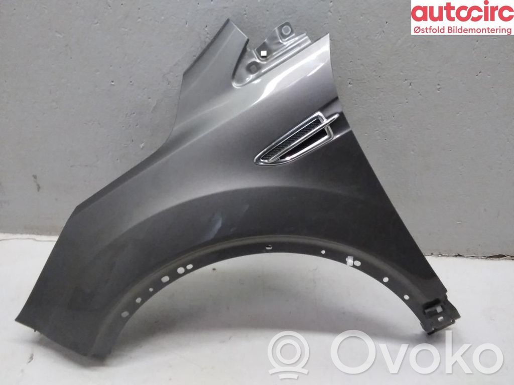 Guardabarro   5216950,5216950