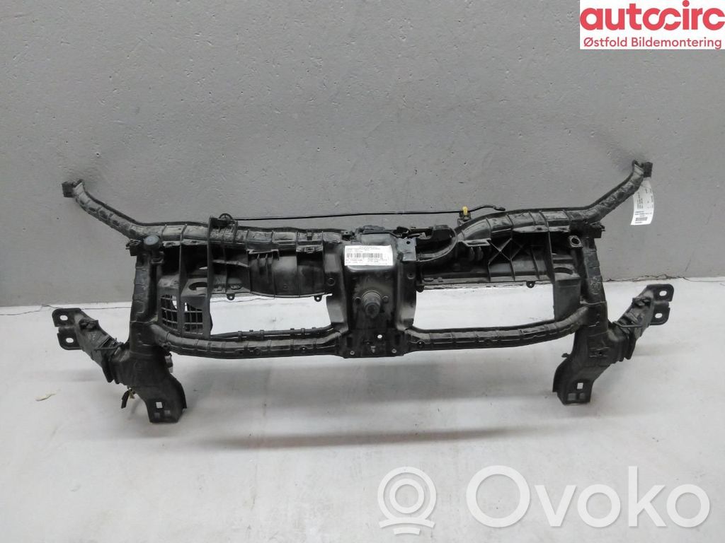 Radiatoru panelis   2543493,2543493