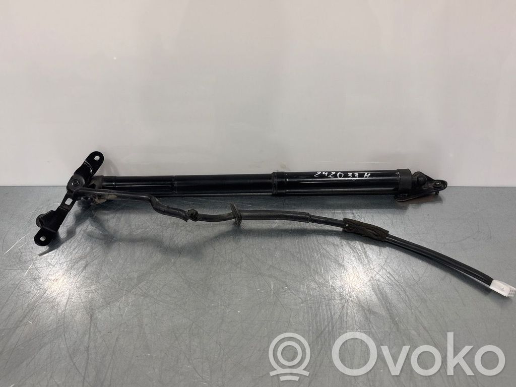 Toyota RAV 4 (XA40) Tailgate/trunk strut/damper 