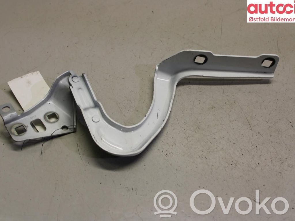 Scharnier Motorhaube   149626700C,149626700C