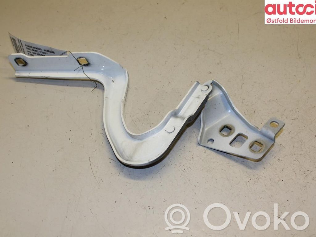 Tesla Model Y Cerniere del vano motore/cofano 
