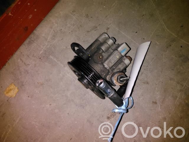 Servopumpe